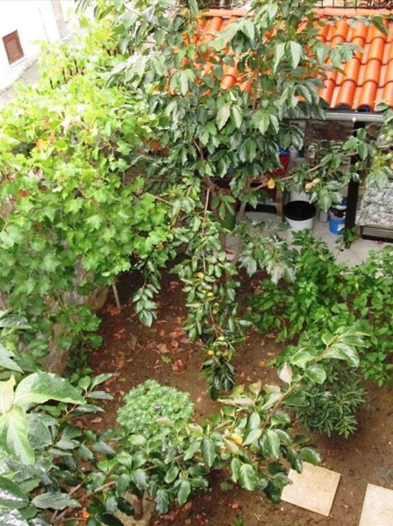Ferienwohnung Kali Stalonia Nikiti  Exterior foto